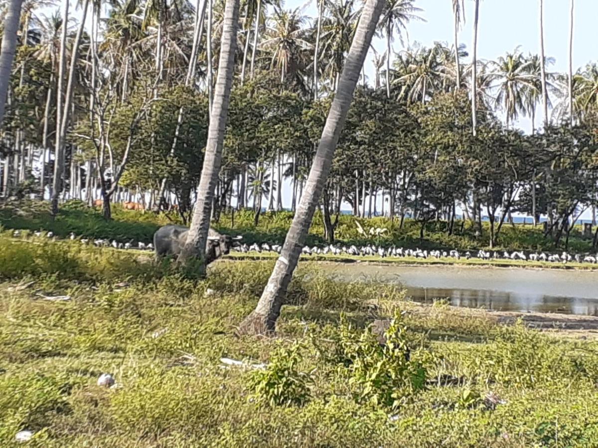 Lanta Daisy Residence Ko Lanta Kültér fotó